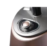 اتو بخارگر ایستاده راف مدل R-3048R - Image 3