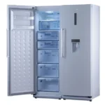 یخچال فریزر 2قلو دیپوینت 40فوت مدل d4w - Image 4